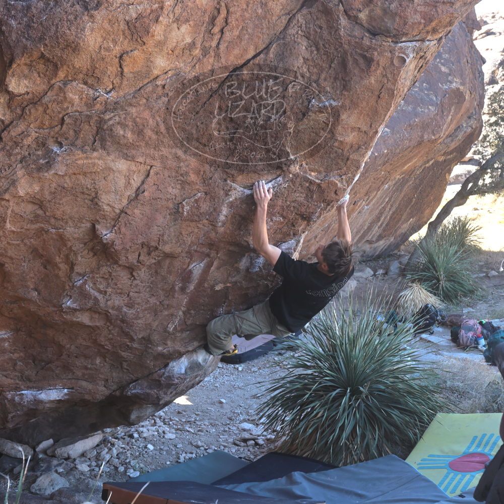 

Filename: SRM_20230122_1105020.jpg
Aperture: f/5.6
Shutter Speed: 1/400
Body: Canon EOS R6
Lens: Canon EF 16-35mm f/2.8 L