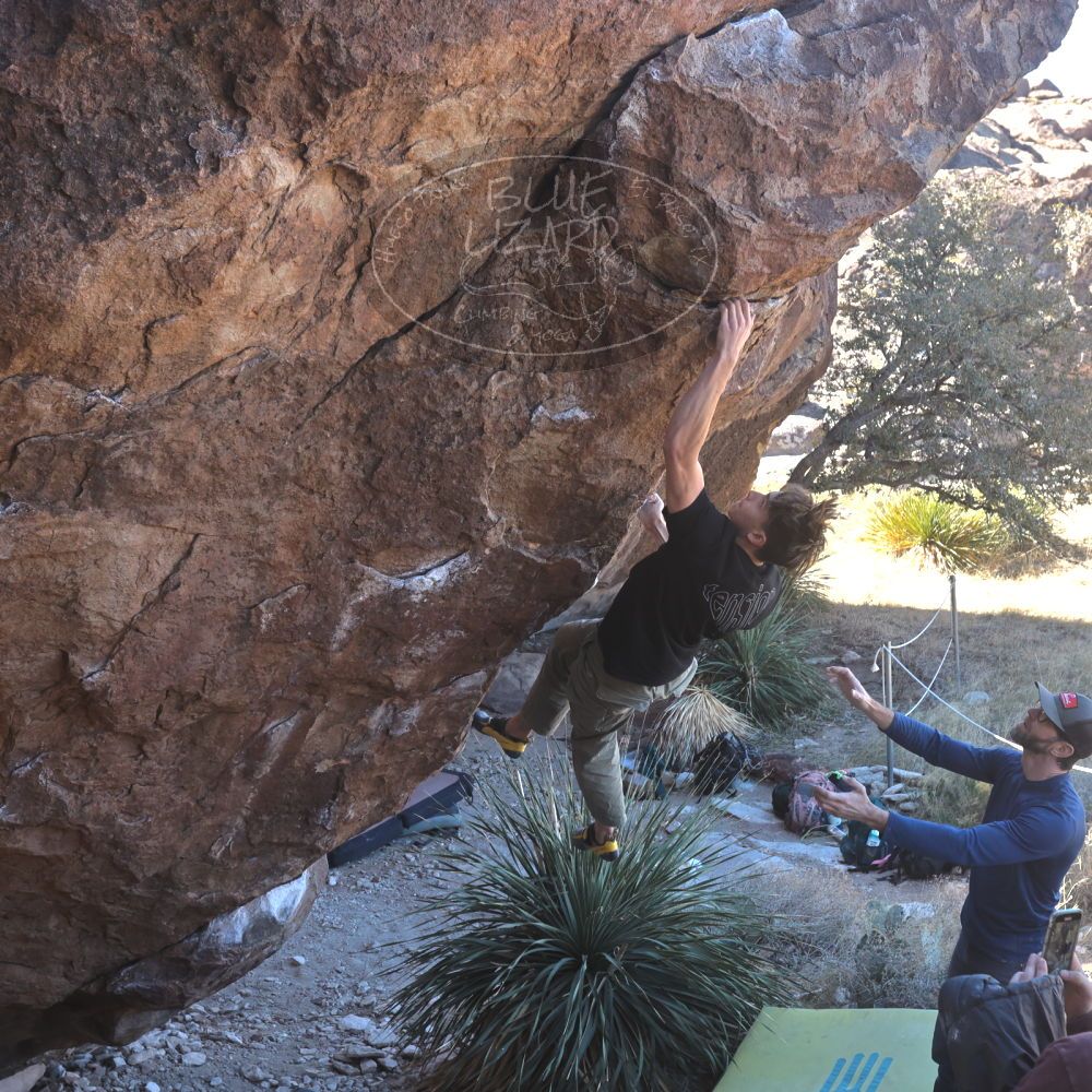 

Filename: SRM_20230122_1105101.jpg
Aperture: f/5.6
Shutter Speed: 1/400
Body: Canon EOS R6
Lens: Canon EF 16-35mm f/2.8 L