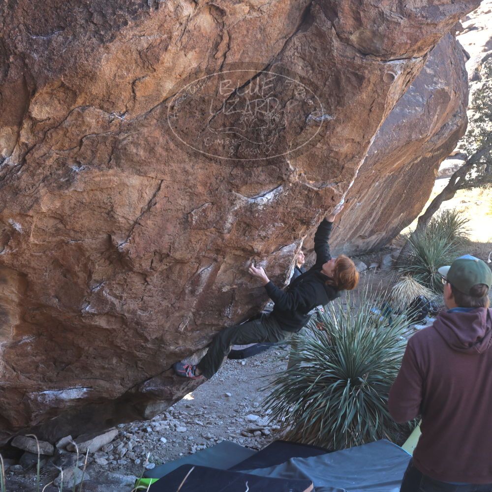 

Filename: SRM_20230122_1107450.jpg
Aperture: f/5.6
Shutter Speed: 1/400
Body: Canon EOS R6
Lens: Canon EF 16-35mm f/2.8 L