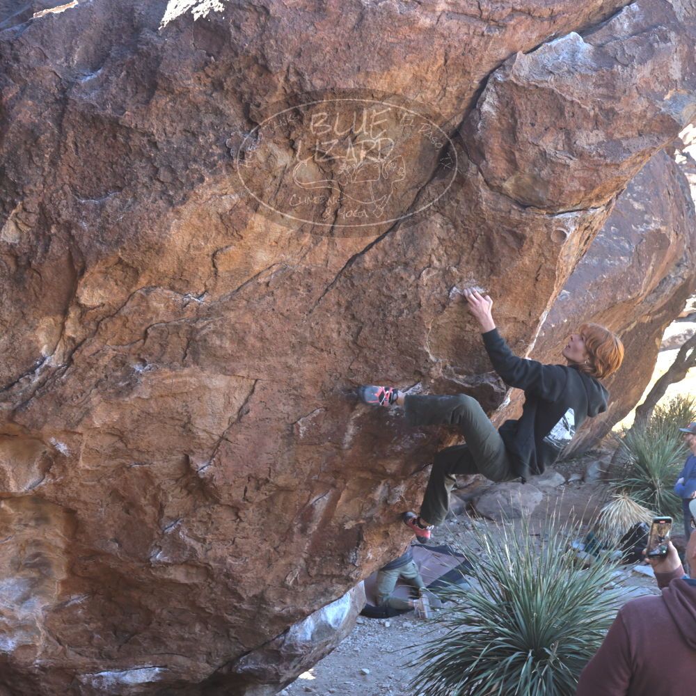 

Filename: SRM_20230122_1108100.jpg
Aperture: f/5.6
Shutter Speed: 1/400
Body: Canon EOS R6
Lens: Canon EF 16-35mm f/2.8 L