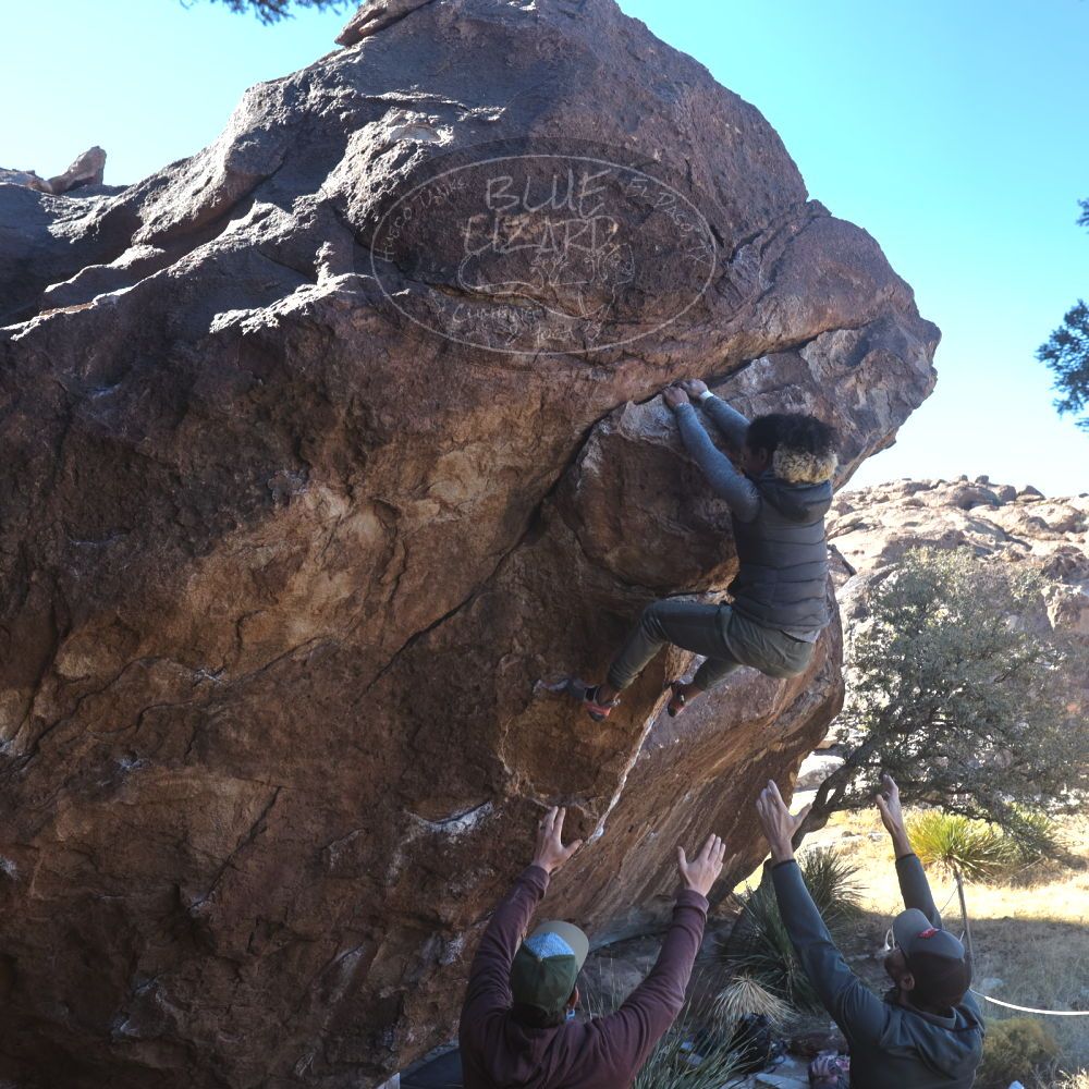 

Filename: SRM_20230122_1120470.jpg
Aperture: f/5.6
Shutter Speed: 1/400
Body: Canon EOS R6
Lens: Canon EF 16-35mm f/2.8 L