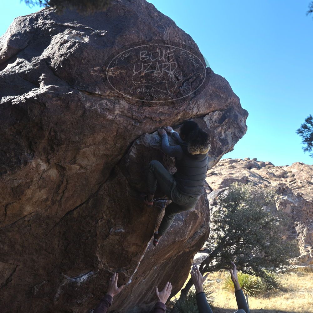 

Filename: SRM_20230122_1120490.jpg
Aperture: f/5.6
Shutter Speed: 1/400
Body: Canon EOS R6
Lens: Canon EF 16-35mm f/2.8 L