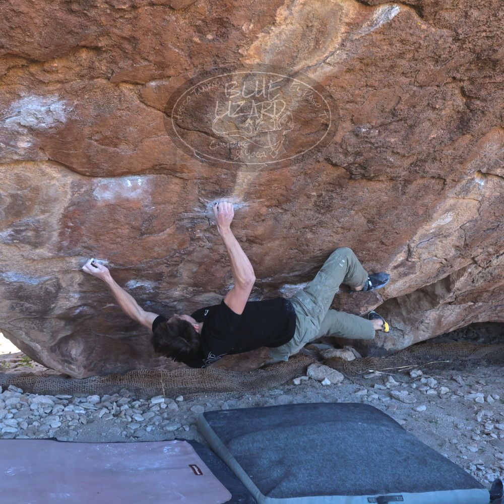 

Filename: SRM_20230122_1126210.jpg
Aperture: f/5.6
Shutter Speed: 1/400
Body: Canon EOS R6
Lens: Canon EF 16-35mm f/2.8 L