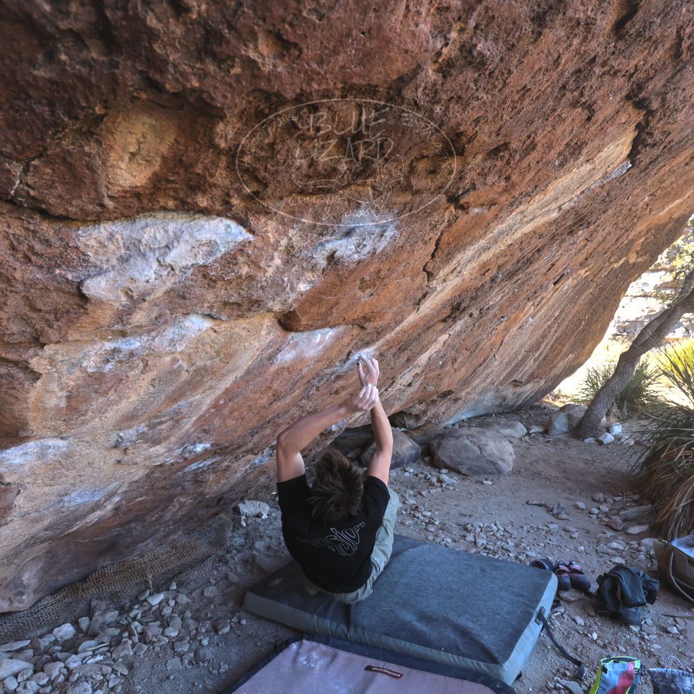 

Filename: SRM_20230122_1126280.jpg
Aperture: f/5.6
Shutter Speed: 1/400
Body: Canon EOS R6
Lens: Canon EF 16-35mm f/2.8 L