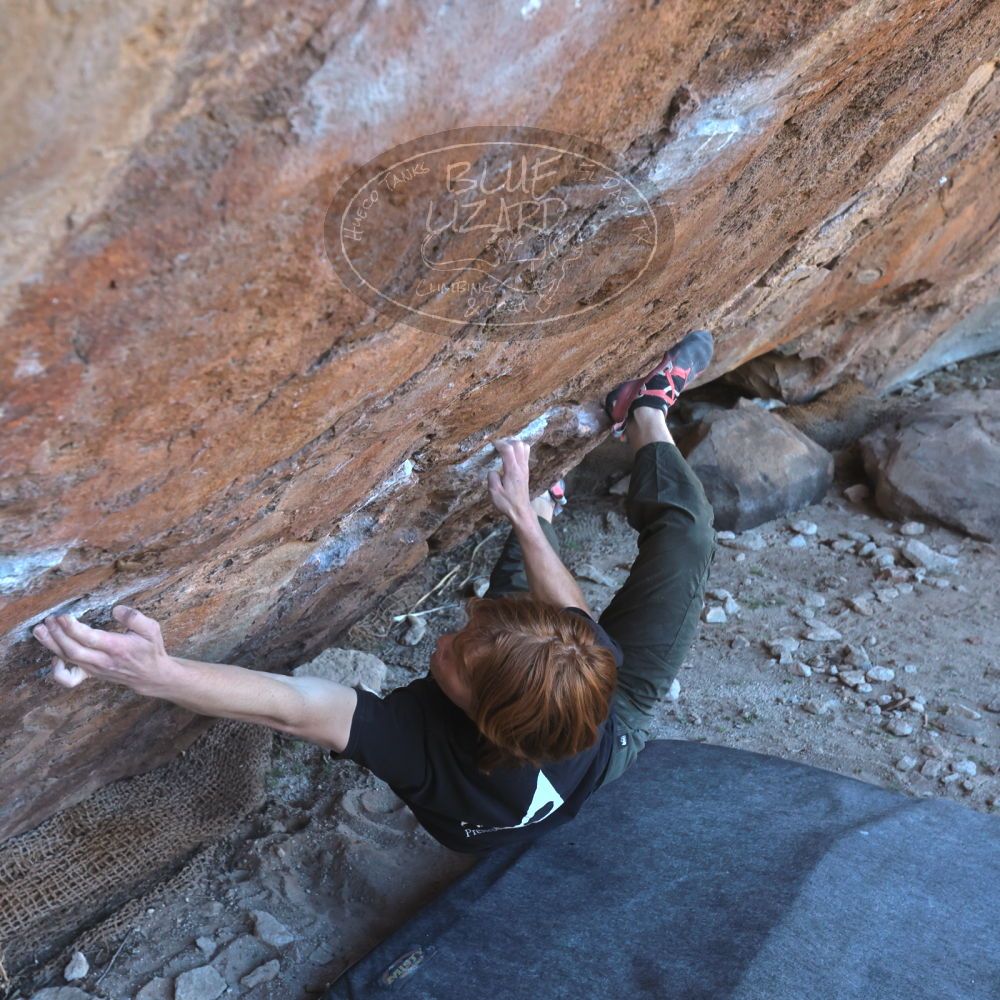 

Filename: SRM_20230122_1129410.jpg
Aperture: f/5.6
Shutter Speed: 1/320
Body: Canon EOS R6
Lens: Canon EF 16-35mm f/2.8 L