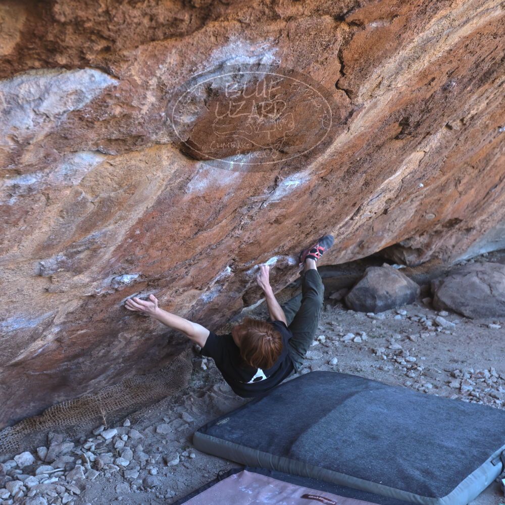 

Filename: SRM_20230122_1130380.jpg
Aperture: f/4.0
Shutter Speed: 1/320
Body: Canon EOS R6
Lens: Canon EF 16-35mm f/2.8 L