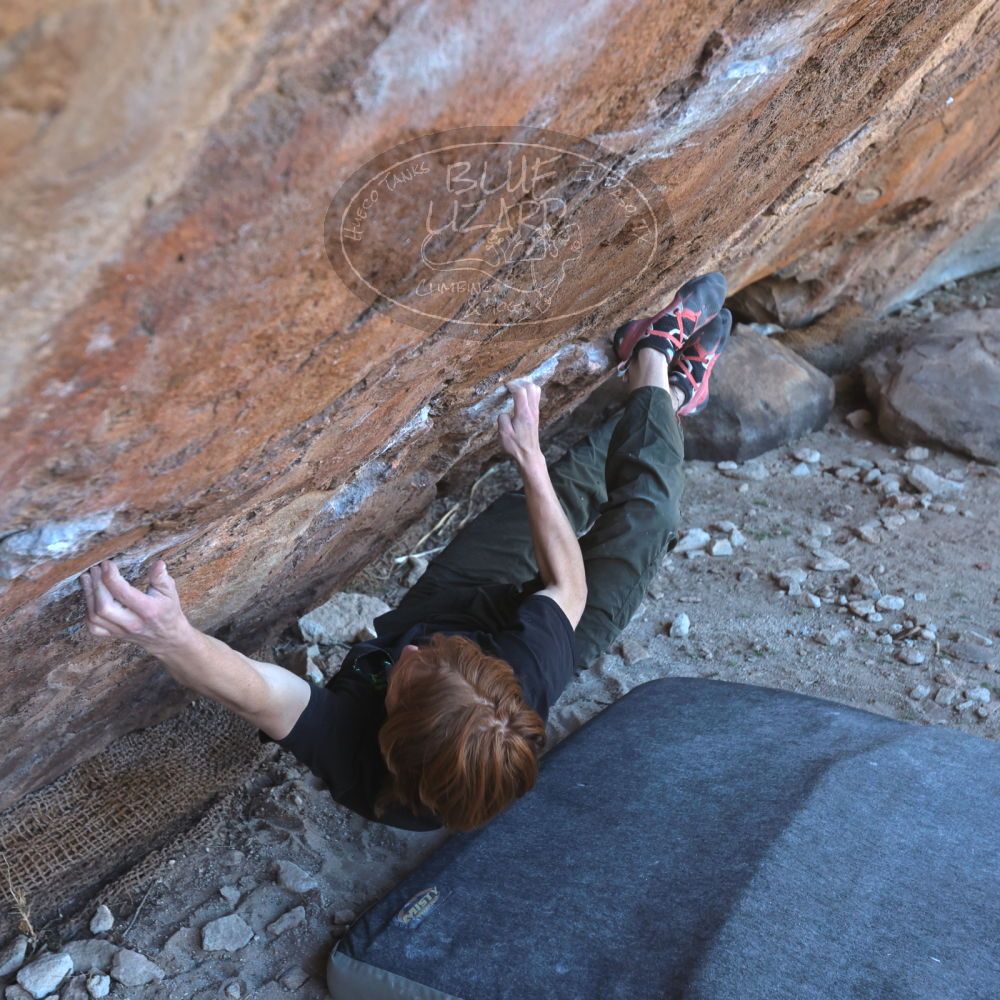 

Filename: SRM_20230122_1136301.jpg
Aperture: f/4.5
Shutter Speed: 1/320
Body: Canon EOS R6
Lens: Canon EF 16-35mm f/2.8 L