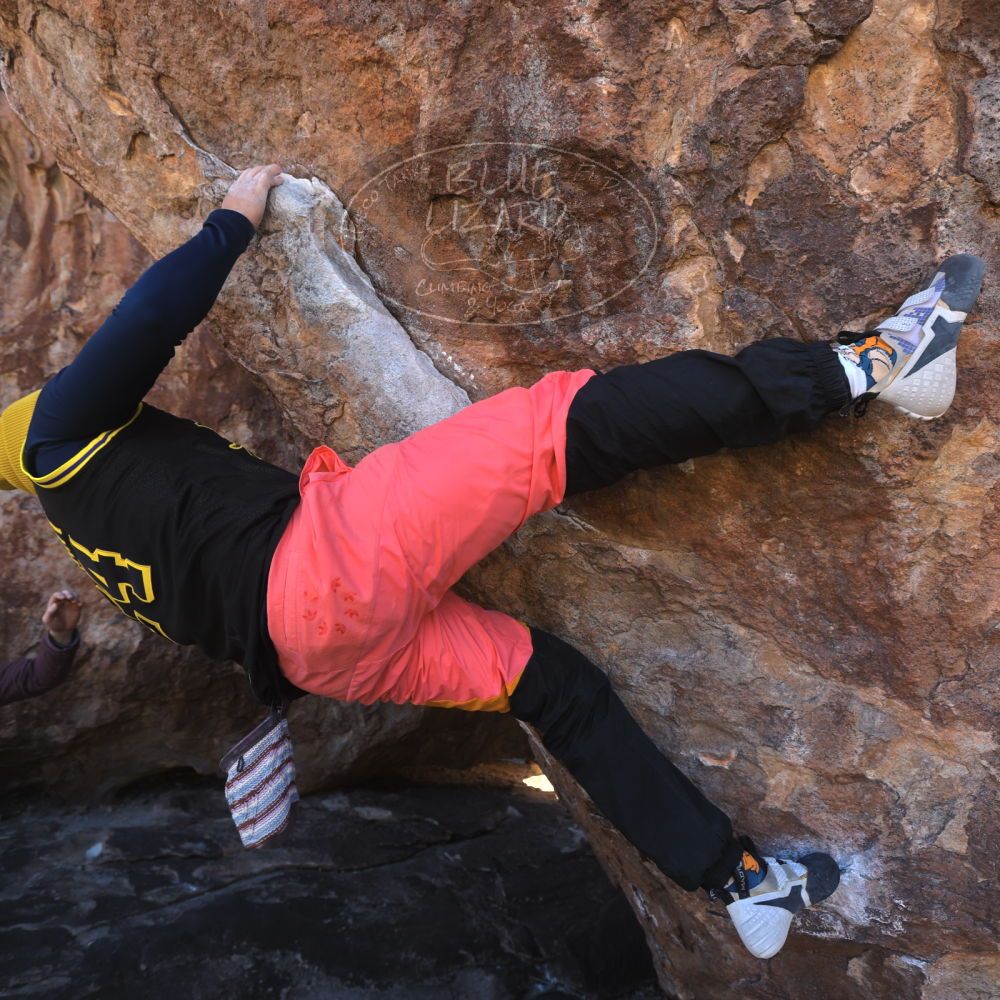 

Filename: SRM_20230122_1150260.jpg
Aperture: f/4.5
Shutter Speed: 1/320
Body: Canon EOS R6
Lens: Canon EF 16-35mm f/2.8 L