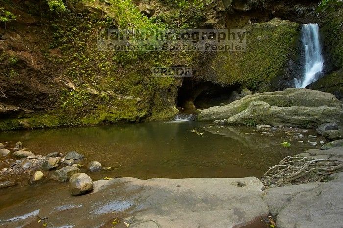 

Filename: SRM_20071219_1649258.jpg
Aperture: f/8.0
Shutter Speed: 1/8
Body: Canon EOS-1D Mark II
Lens: Sigma 15-30mm f/3.5-4.5 EX Aspherical DG DF