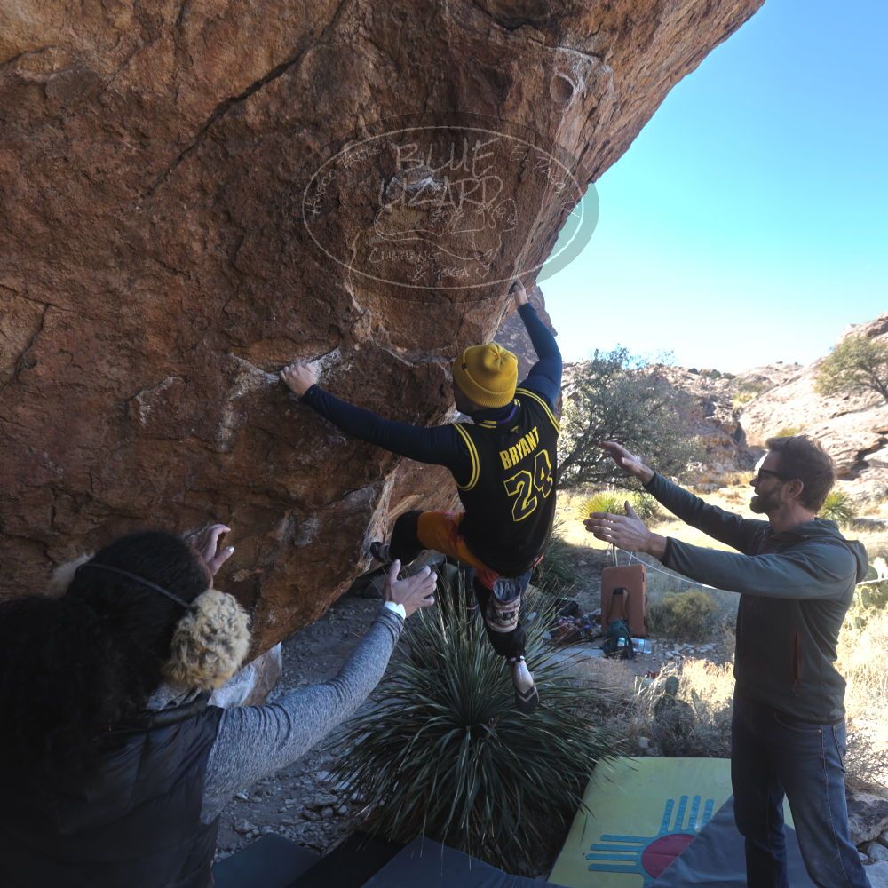 

Filename: SRM_20230122_1158010.jpg
Aperture: f/4.5
Shutter Speed: 1/320
Body: Canon EOS R6
Lens: Canon EF 16-35mm f/2.8 L