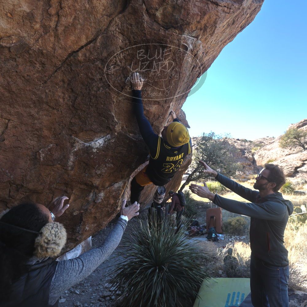 

Filename: SRM_20230122_1158030.jpg
Aperture: f/4.5
Shutter Speed: 1/320
Body: Canon EOS R6
Lens: Canon EF 16-35mm f/2.8 L