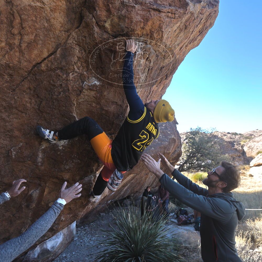 

Filename: SRM_20230122_1158170.jpg
Aperture: f/4.5
Shutter Speed: 1/320
Body: Canon EOS R6
Lens: Canon EF 16-35mm f/2.8 L