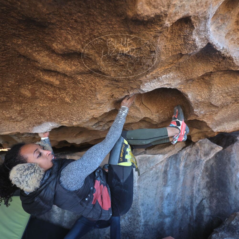 

Filename: SRM_20230122_1305350.jpg
Aperture: f/4.0
Shutter Speed: 1/320
Body: Canon EOS R6
Lens: Canon EF 16-35mm f/2.8 L