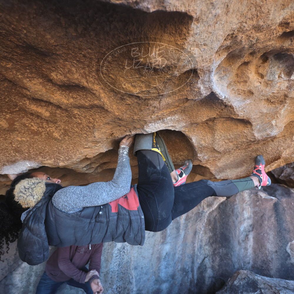 

Filename: SRM_20230122_1305400.jpg
Aperture: f/4.0
Shutter Speed: 1/320
Body: Canon EOS R6
Lens: Canon EF 16-35mm f/2.8 L