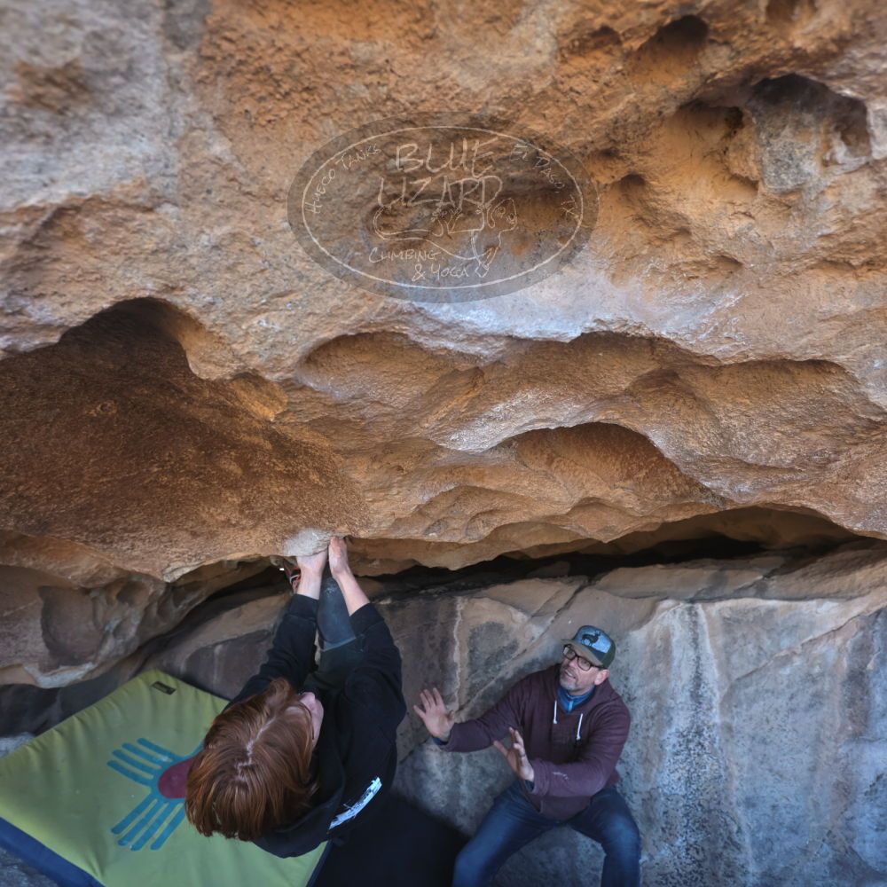 

Filename: SRM_20230122_1311070.jpg
Aperture: f/4.0
Shutter Speed: 1/320
Body: Canon EOS R6
Lens: Canon EF 16-35mm f/2.8 L