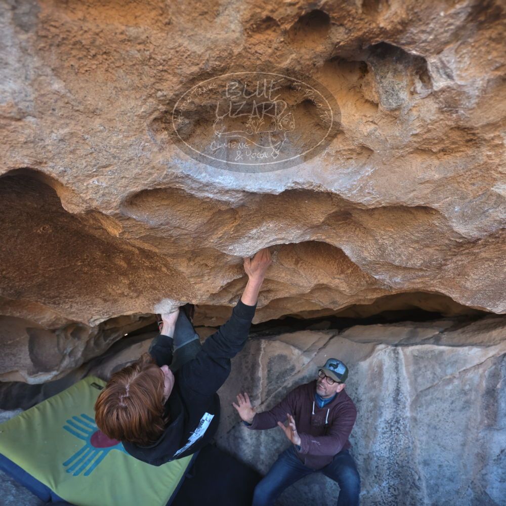 

Filename: SRM_20230122_1311071.jpg
Aperture: f/4.0
Shutter Speed: 1/320
Body: Canon EOS R6
Lens: Canon EF 16-35mm f/2.8 L