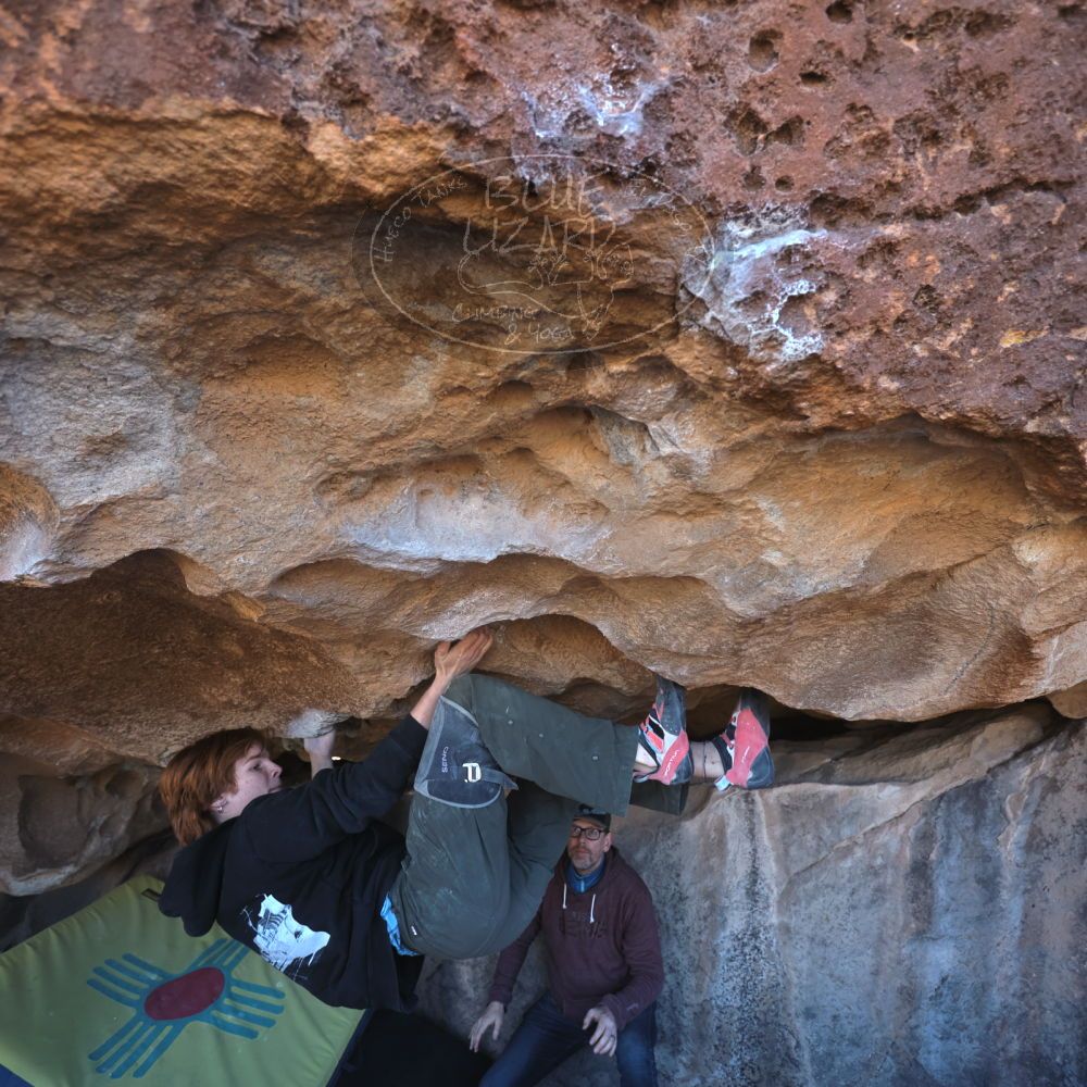 

Filename: SRM_20230122_1311130.jpg
Aperture: f/4.0
Shutter Speed: 1/320
Body: Canon EOS R6
Lens: Canon EF 16-35mm f/2.8 L