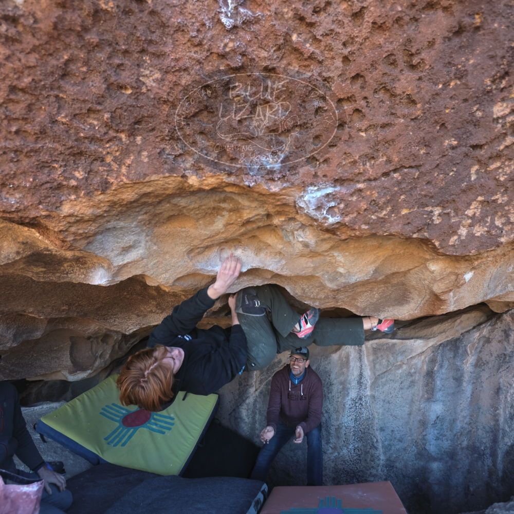 

Filename: SRM_20230122_1311340.jpg
Aperture: f/4.0
Shutter Speed: 1/320
Body: Canon EOS R6
Lens: Canon EF 16-35mm f/2.8 L