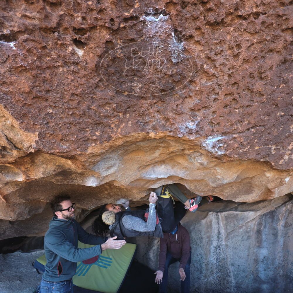 

Filename: SRM_20230122_1313290.jpg
Aperture: f/4.0
Shutter Speed: 1/320
Body: Canon EOS R6
Lens: Canon EF 16-35mm f/2.8 L