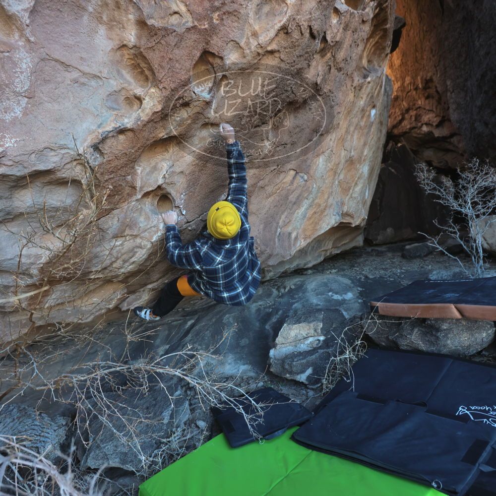 

Filename: SRM_20230122_1331130.jpg
Aperture: f/4.0
Shutter Speed: 1/320
Body: Canon EOS R6
Lens: Canon EF 16-35mm f/2.8 L