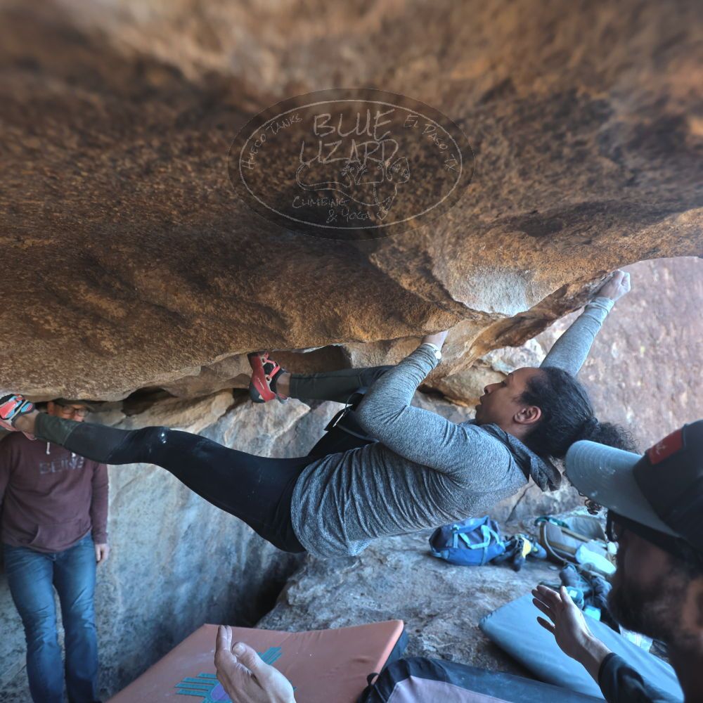 

Filename: SRM_20230122_1444010.jpg
Aperture: f/4.0
Shutter Speed: 1/320
Body: Canon EOS R6
Lens: Canon EF 16-35mm f/2.8 L