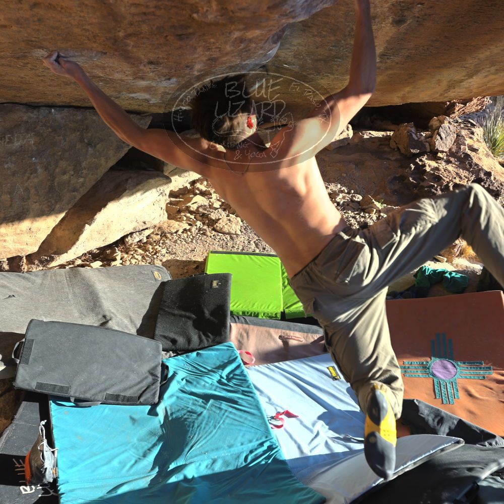 

Filename: SRM_20230122_1627336.jpg
Aperture: f/4.0
Shutter Speed: 1/320
Body: Canon EOS R6
Lens: Canon EF 16-35mm f/2.8 L