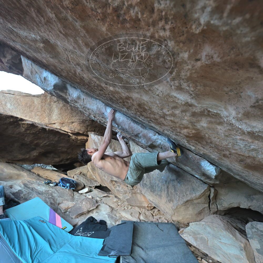 

Filename: SRM_20230122_1648580.jpg
Aperture: f/6.3
Shutter Speed: 1/320
Body: Canon EOS R6
Lens: Canon EF 16-35mm f/2.8 L