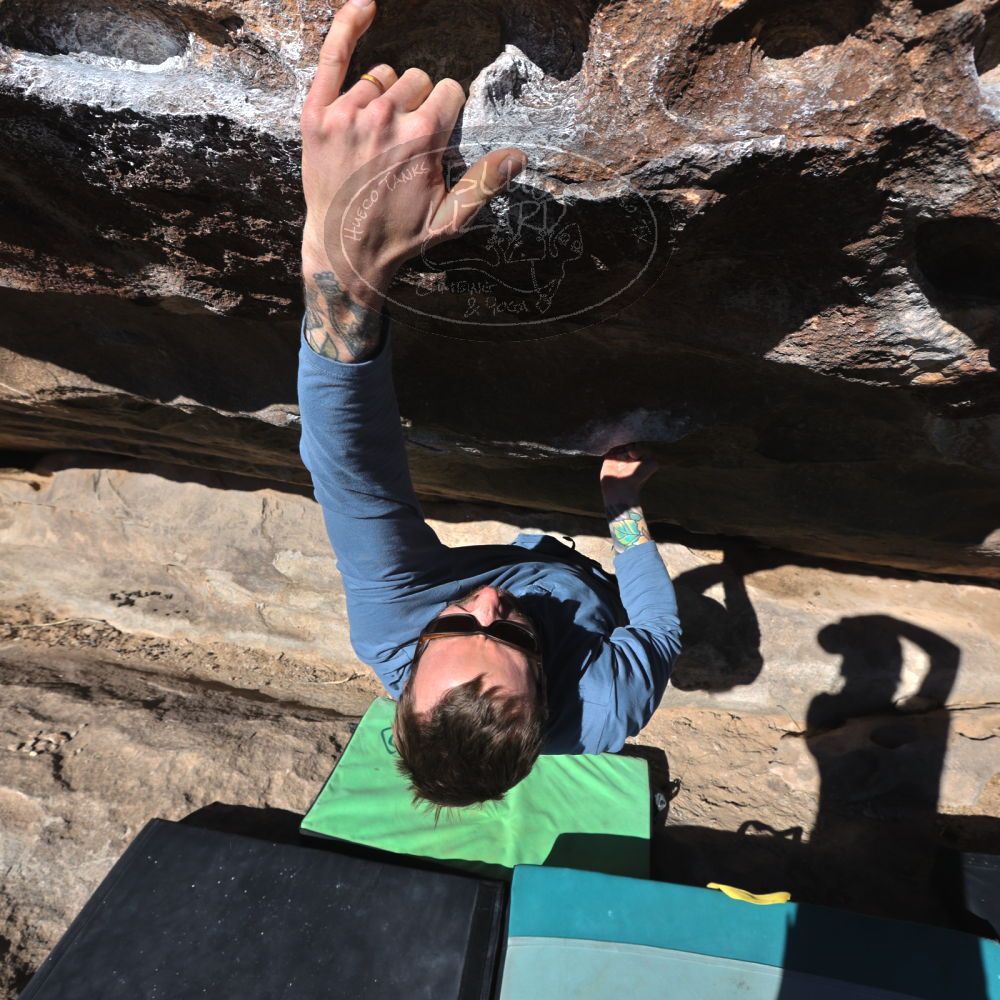 

Filename: SRM_20230128_0954050.jpg
Aperture: f/8.0
Shutter Speed: 1/640
Body: Canon EOS R6
Lens: Canon EF 16-35mm f/2.8 L