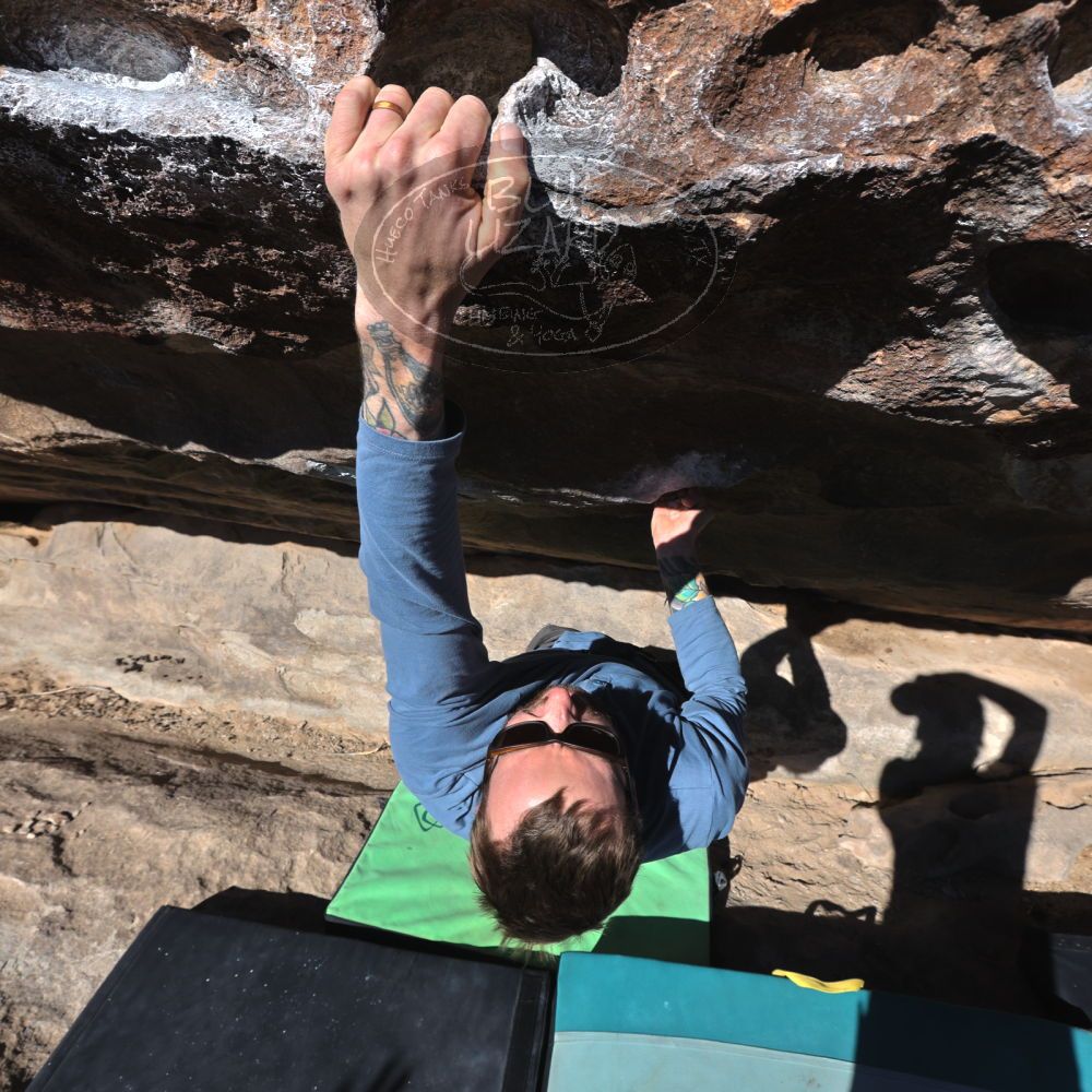 

Filename: SRM_20230128_0954051.jpg
Aperture: f/8.0
Shutter Speed: 1/640
Body: Canon EOS R6
Lens: Canon EF 16-35mm f/2.8 L