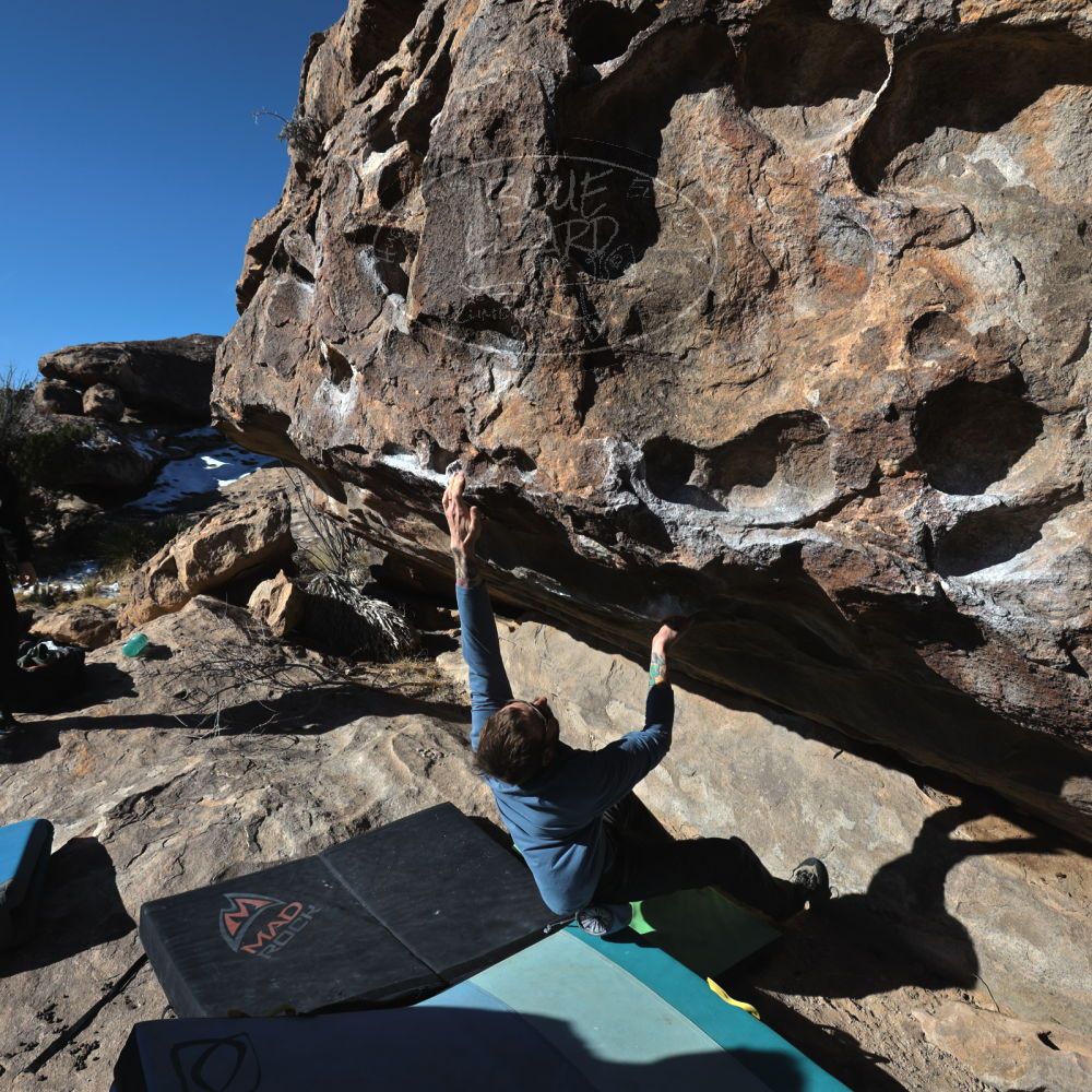 

Filename: SRM_20230128_0954230.jpg
Aperture: f/8.0
Shutter Speed: 1/640
Body: Canon EOS R6
Lens: Canon EF 16-35mm f/2.8 L