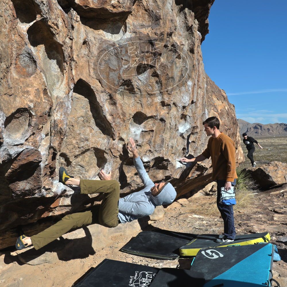 

Filename: SRM_20230128_1007130.jpg
Aperture: f/8.0
Shutter Speed: 1/500
Body: Canon EOS R6
Lens: Canon EF 16-35mm f/2.8 L