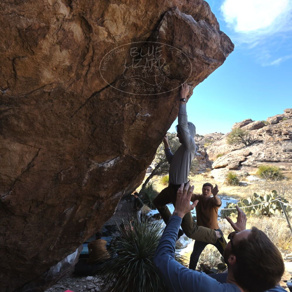 

Filename: SRM_20230128_1233462.jpg
Aperture: f/5.6
Shutter Speed: 1/640
Body: Canon EOS R6
Lens: Canon EF 16-35mm f/2.8 L