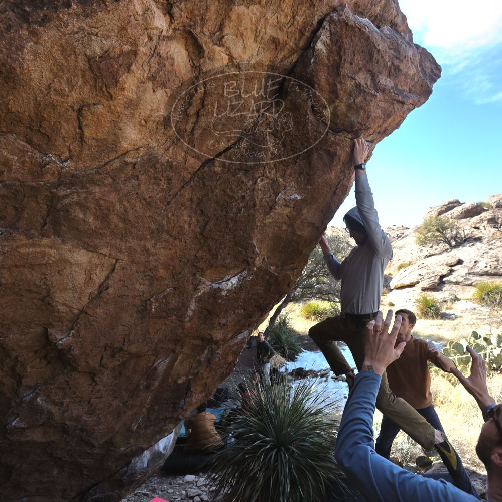 

Filename: SRM_20230128_1233480.jpg
Aperture: f/5.6
Shutter Speed: 1/640
Body: Canon EOS R6
Lens: Canon EF 16-35mm f/2.8 L