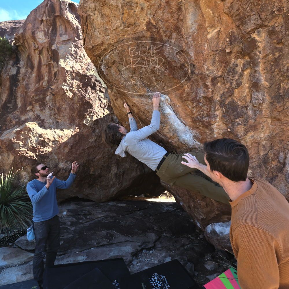 

Filename: SRM_20230128_1240160.jpg
Aperture: f/5.6
Shutter Speed: 1/640
Body: Canon EOS R6
Lens: Canon EF 16-35mm f/2.8 L