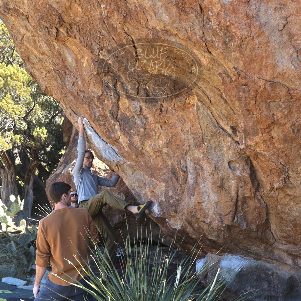 

Filename: SRM_20230128_1248250.jpg
Aperture: f/5.6
Shutter Speed: 1/640
Body: Canon EOS R6
Lens: Canon EF 16-35mm f/2.8 L