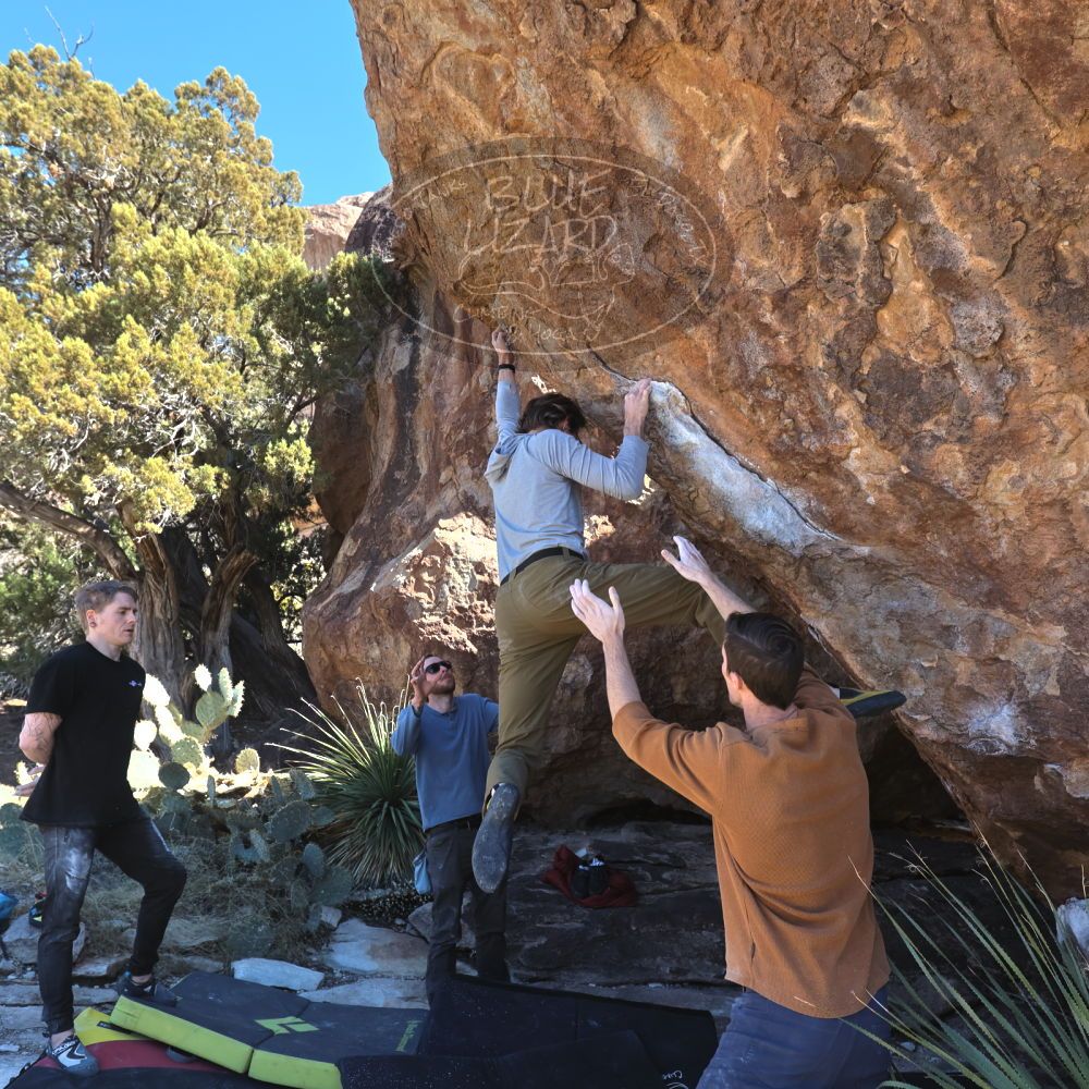 

Filename: SRM_20230128_1248350.jpg
Aperture: f/5.6
Shutter Speed: 1/640
Body: Canon EOS R6
Lens: Canon EF 16-35mm f/2.8 L