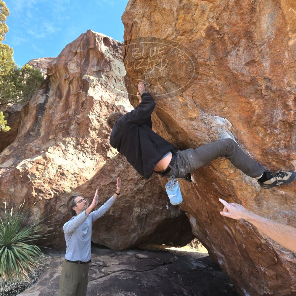 

Filename: SRM_20230128_1318110.jpg
Aperture: f/5.6
Shutter Speed: 1/640
Body: Canon EOS R6
Lens: Canon EF 16-35mm f/2.8 L