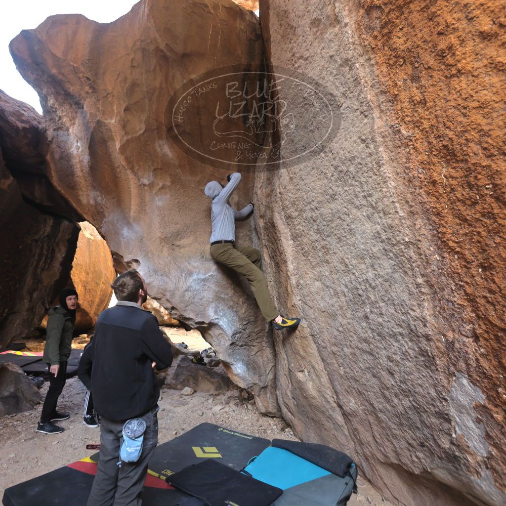 

Filename: SRM_20230128_1402350.jpg
Aperture: f/4.0
Shutter Speed: 1/200
Body: Canon EOS R6
Lens: Canon EF 16-35mm f/2.8 L