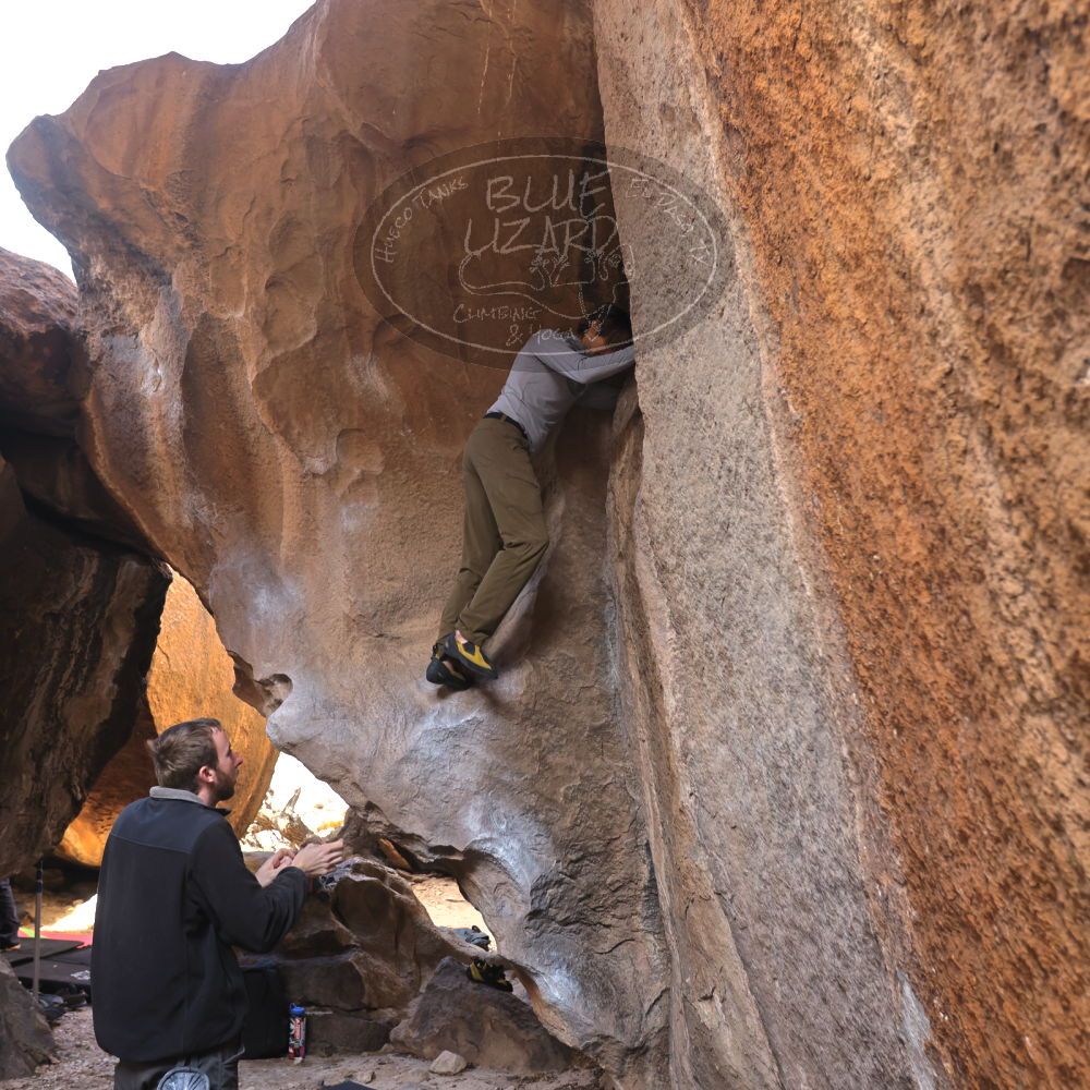 

Filename: SRM_20230128_1403190.jpg
Aperture: f/4.0
Shutter Speed: 1/200
Body: Canon EOS R6
Lens: Canon EF 16-35mm f/2.8 L