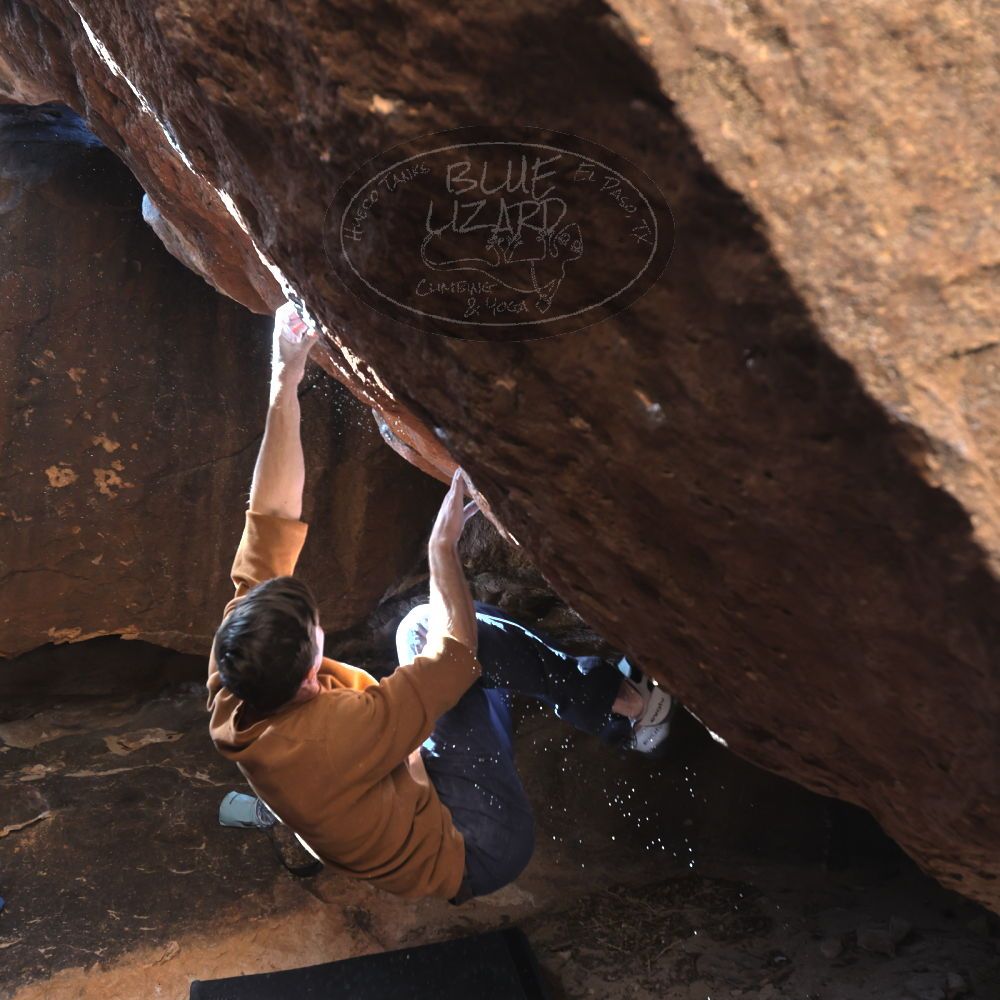 

Filename: SRM_20230128_1409460.jpg
Aperture: f/4.0
Shutter Speed: 1/320
Body: Canon EOS R6
Lens: Canon EF 16-35mm f/2.8 L