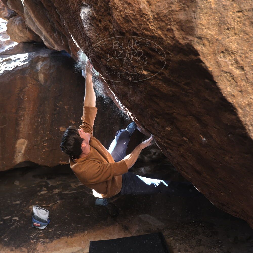 

Filename: SRM_20230128_1409480.jpg
Aperture: f/4.0
Shutter Speed: 1/320
Body: Canon EOS R6
Lens: Canon EF 16-35mm f/2.8 L