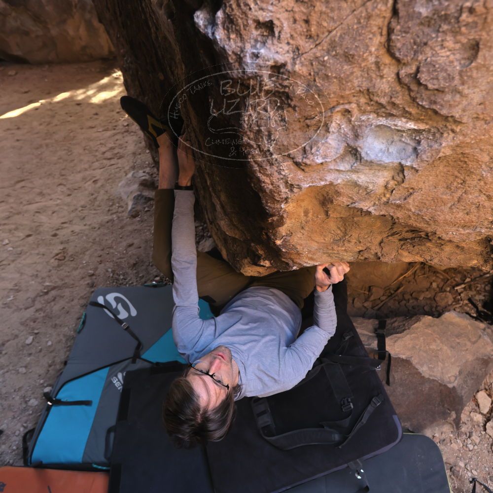 

Filename: SRM_20230128_1417080.jpg
Aperture: f/4.0
Shutter Speed: 1/320
Body: Canon EOS R6
Lens: Canon EF 16-35mm f/2.8 L