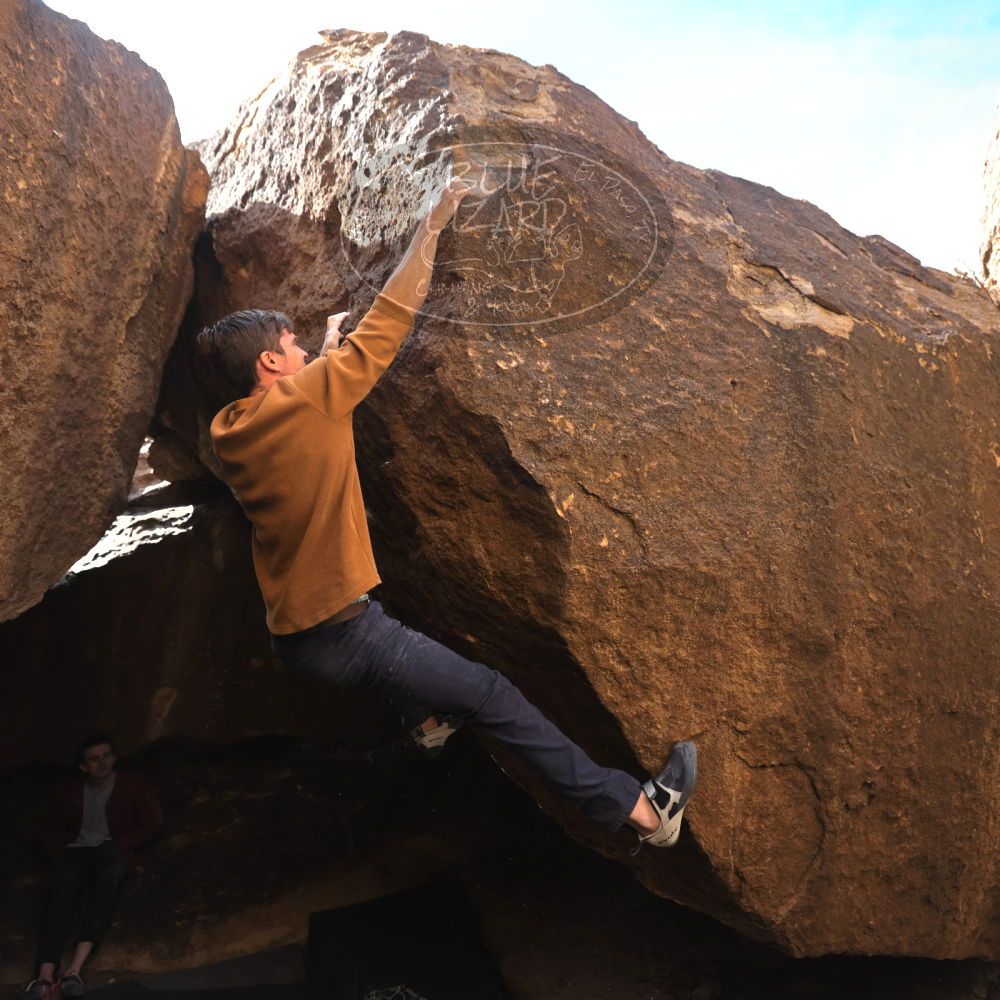 

Filename: SRM_20230128_1421490.jpg
Aperture: f/4.0
Shutter Speed: 1/320
Body: Canon EOS R6
Lens: Canon EF 16-35mm f/2.8 L