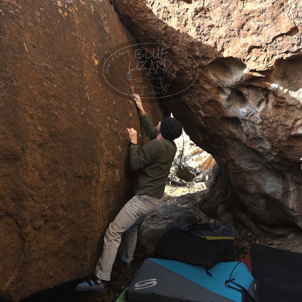 

Filename: SRM_20230128_1430201.jpg
Aperture: f/4.0
Shutter Speed: 1/320
Body: Canon EOS R6
Lens: Canon EF 16-35mm f/2.8 L