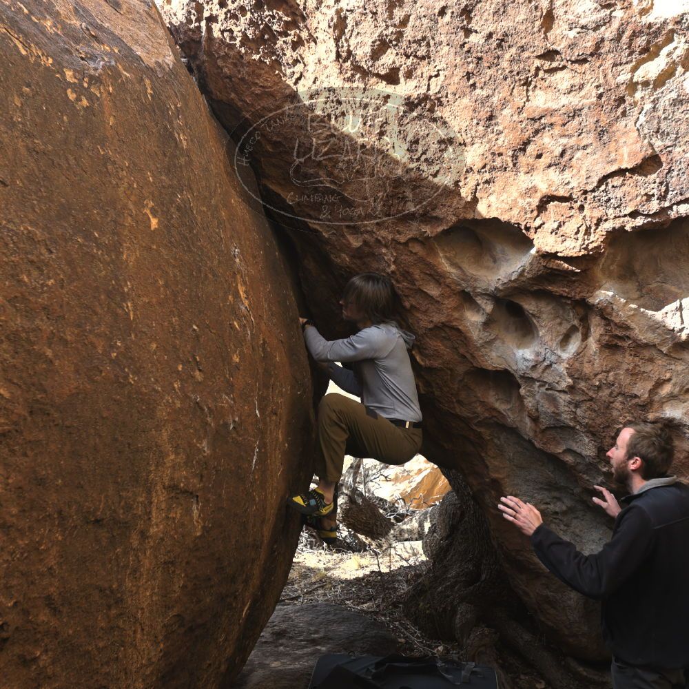 

Filename: SRM_20230128_1433310.jpg
Aperture: f/4.0
Shutter Speed: 1/320
Body: Canon EOS R6
Lens: Canon EF 16-35mm f/2.8 L