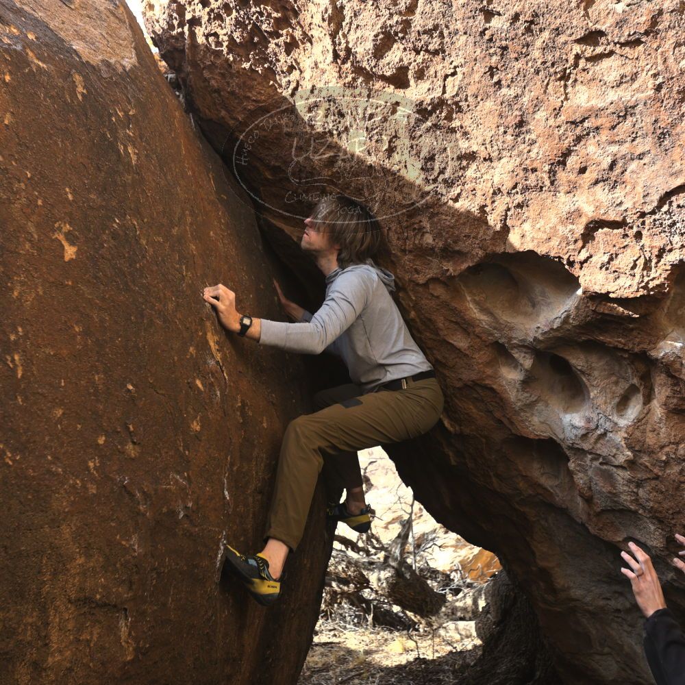 

Filename: SRM_20230128_1433450.jpg
Aperture: f/4.0
Shutter Speed: 1/320
Body: Canon EOS R6
Lens: Canon EF 16-35mm f/2.8 L