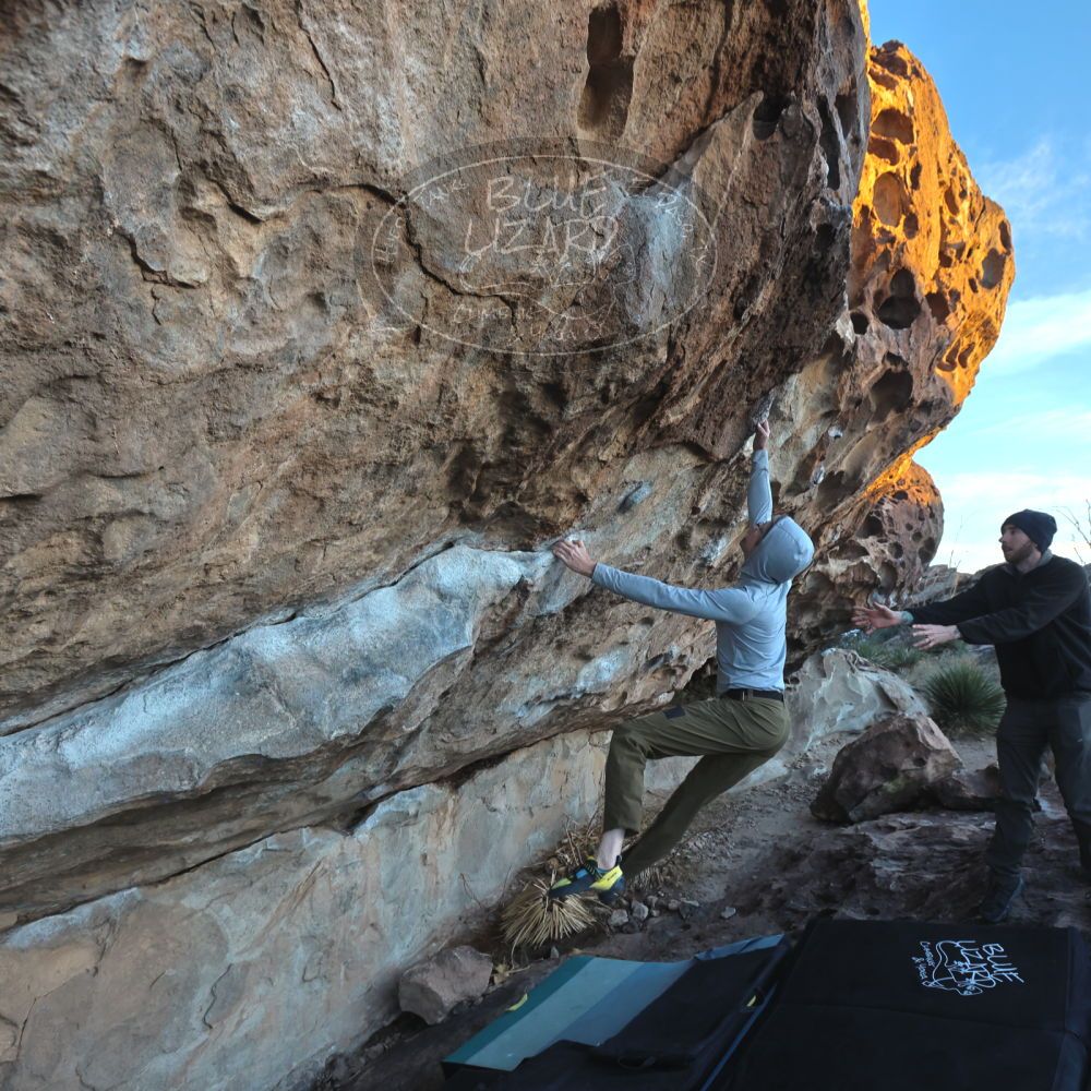 

Filename: SRM_20230128_1721400.jpg
Aperture: f/5.6
Shutter Speed: 1/320
Body: Canon EOS R6
Lens: Canon EF 16-35mm f/2.8 L