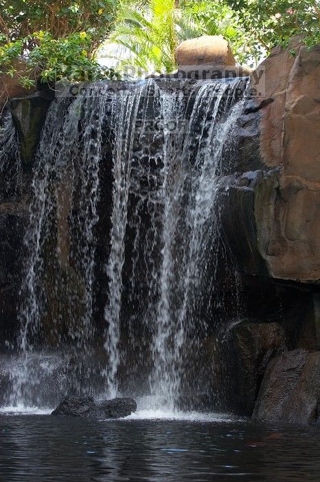 Trip to Maui, Hawai'i, 2007.

Filename: SRM_20071222_1208355.jpg
Aperture: f/5.6
Shutter Speed: 1/160
Body: Canon EOS 20D
Lens: Canon EF 80-200mm f/2.8 L