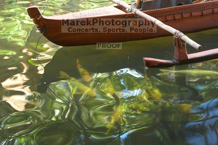 Trip to Maui, Hawai'i, 2007.

Filename: SRM_20071222_1212385.jpg
Aperture: f/4.0
Shutter Speed: 1/25
Body: Canon EOS 20D
Lens: Canon EF 50mm f/1.8 II