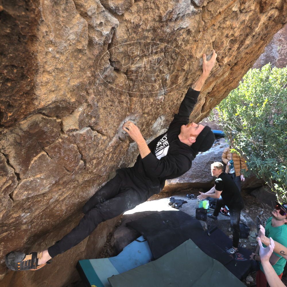 Filename: SRM_20230129_1034320.jpg
Aperture: f/5.6
Shutter Speed: 1/320
Body: Canon EOS R6
Lens: Canon EF 16-35mm f/2.8 L